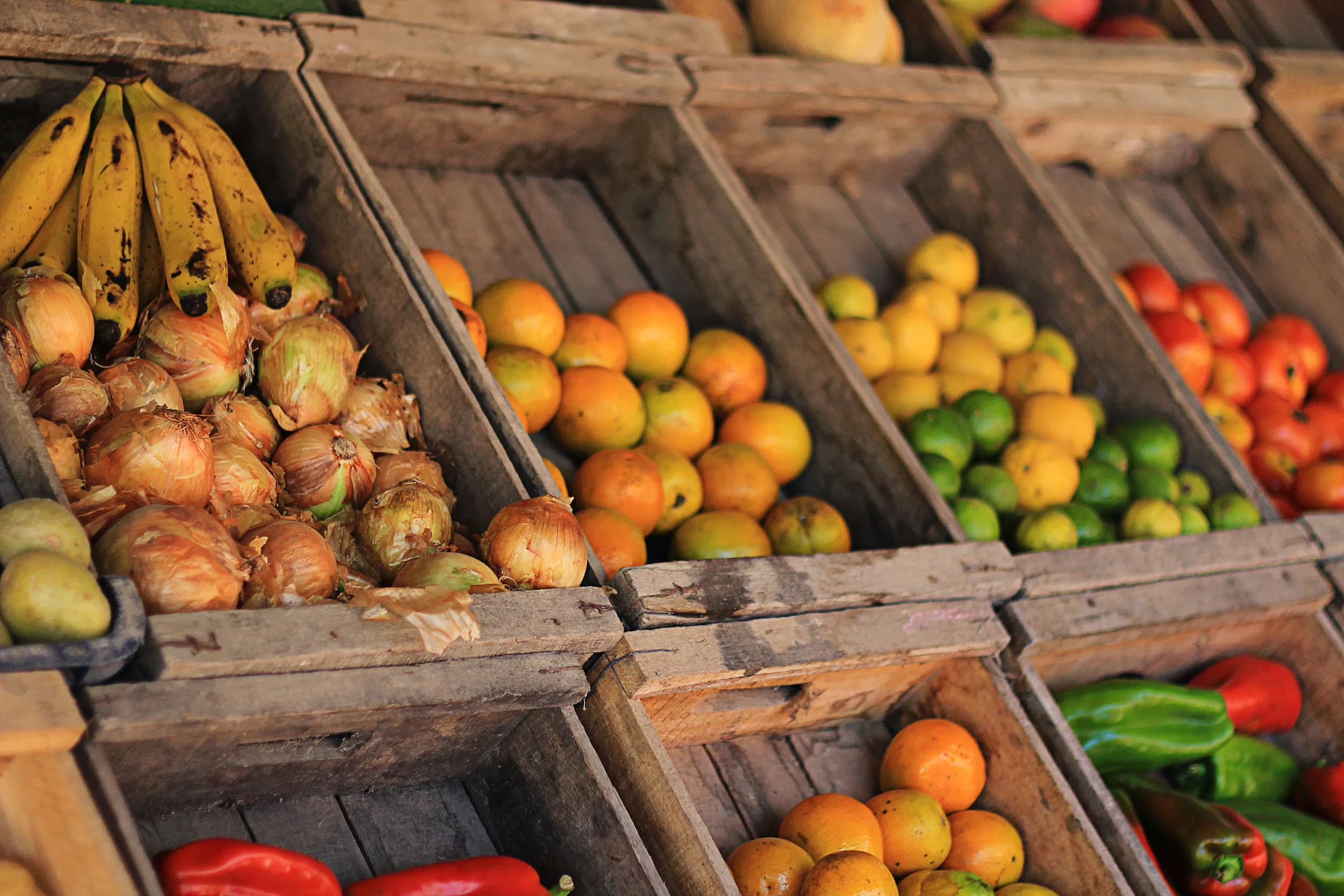 Comercio y servicios